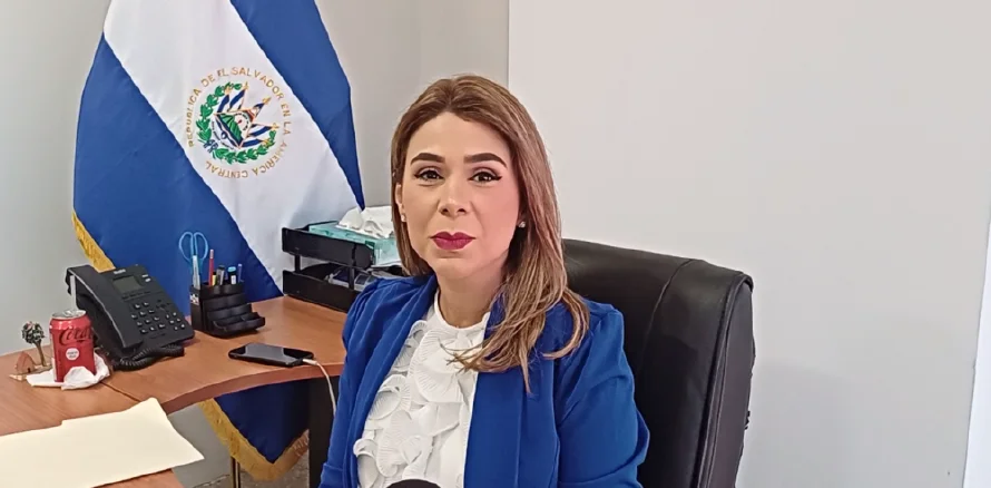 Marcela Villatoro sobre auditoría a Arena: "También el Coena actual, todos deben rendir cuentas"