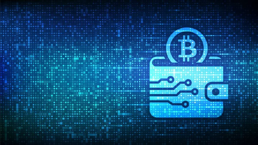 Ciberseguridad en criptomonedas: pasos para proteger tu wallet