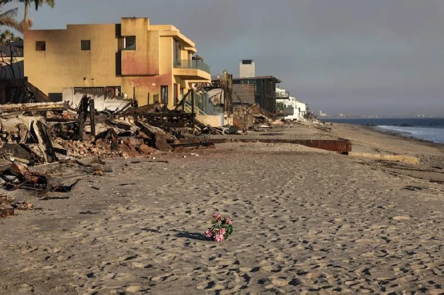 Incendios en Los Ángeles: los vientos amainan, las críticas se multiplican