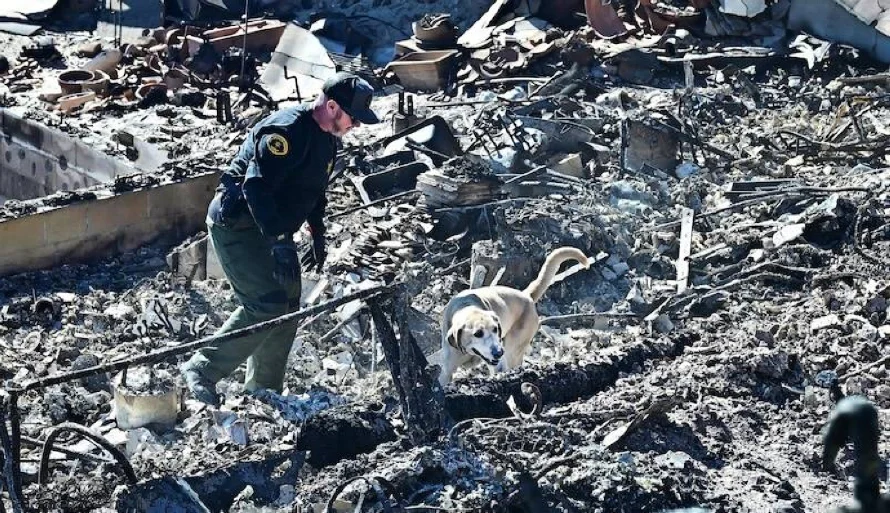 Incendios siguen incontrolables en Los Ángeles y la cifra de muertos aumenta a 24