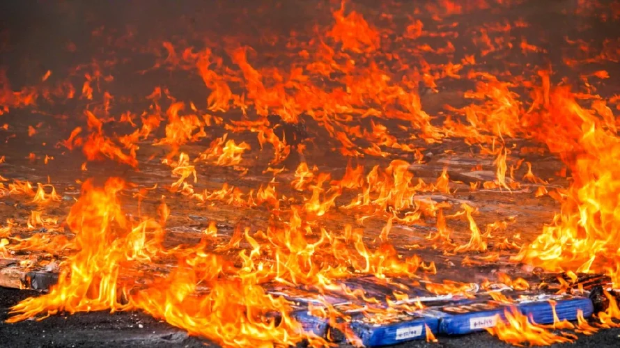 Destruyen droga valorada en más de $37 millones