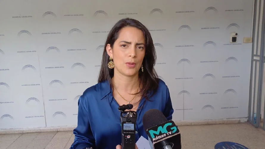 El Salvador vive con temor a 33 años de la paz dice Claudia Ortiz