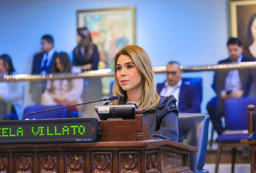 Marcela Villatoro dice que actual Coena no ha rendido cuentas "ni de un dólar"