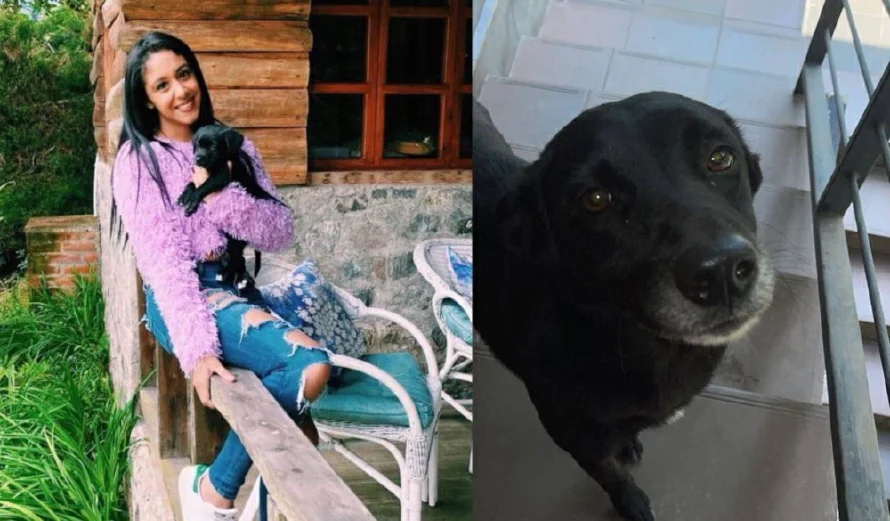 Cantante salvadoreña Adri Menéndez pide ayuda para encontrar a su perrita Leia