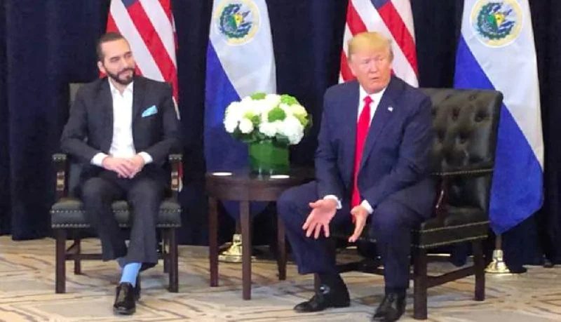 Bukele y Trump acuerdan trabajar juntos contra inmigración ilegal y pandillas transnacionales