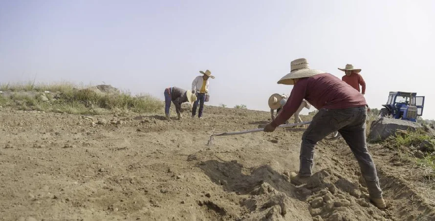 Seguridad alimentaria de parte de Centroamérica y México en riesgo por crisis climática
