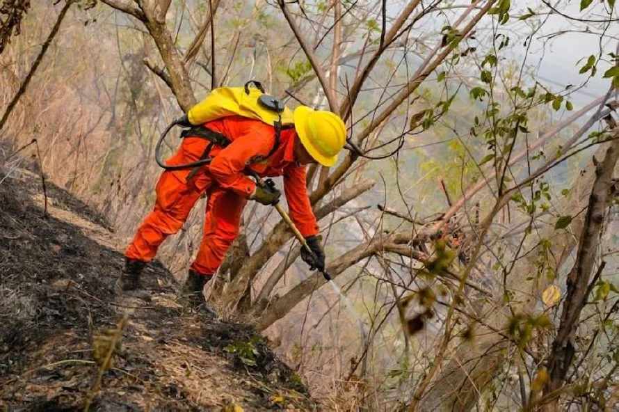 Reportan un nuevo incendio en Volcán de San Salvador