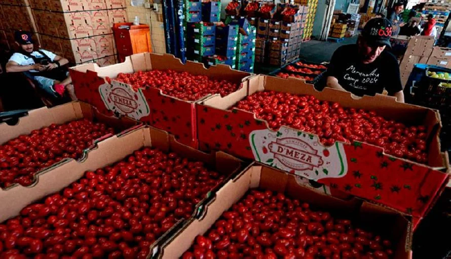 Productores mexicanos llaman al "diálogo" para detener guerra comercial con EEUU