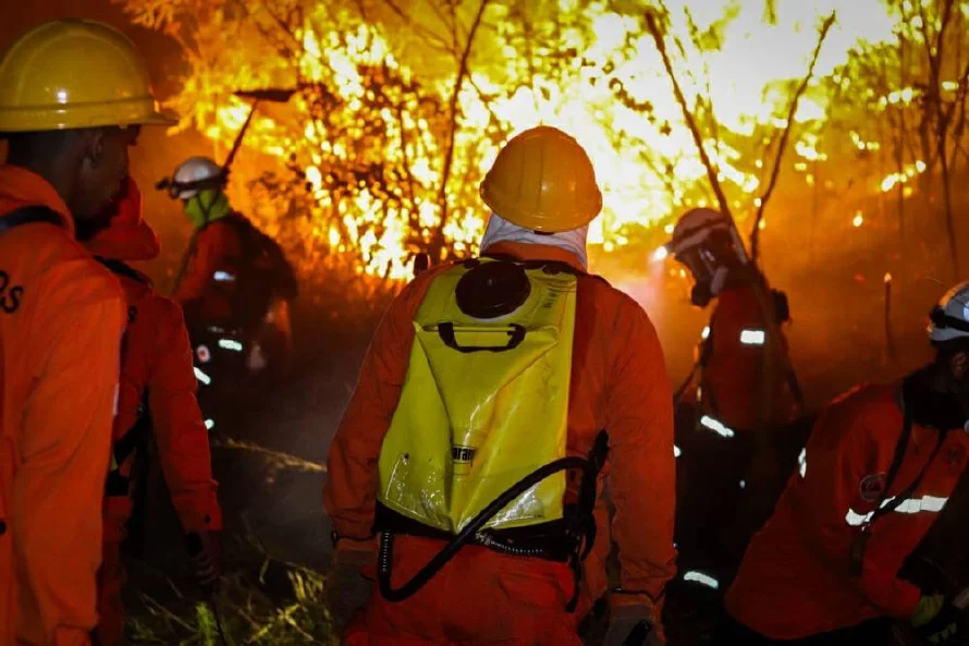 Incendios incrementaron un 10 % en 2024