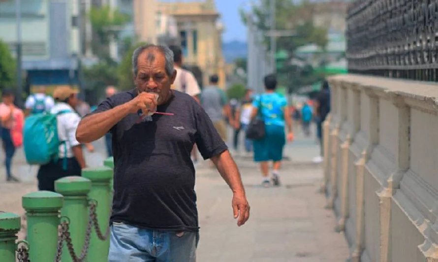Un ambiente "muy cálido" persiste para el segundo lunes de febrero
