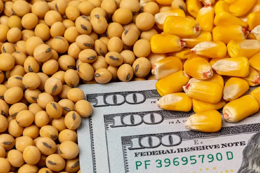 EEUU revisa a la baja reservas mundiales de maíz y producción de soja