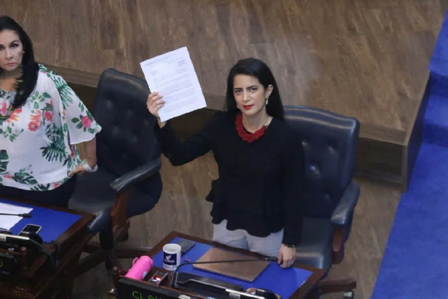 Vamos dice ha presentado 41 propuestas legislativas, pero ninguna ha sido aprobada
