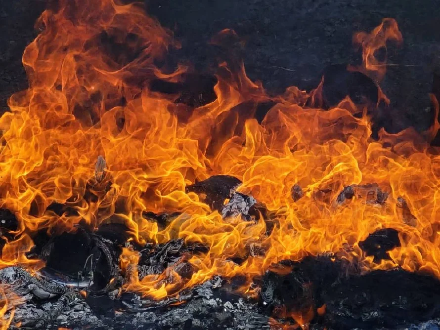 Autoridades destruyen más de $84,000 en marihuana y cocaína