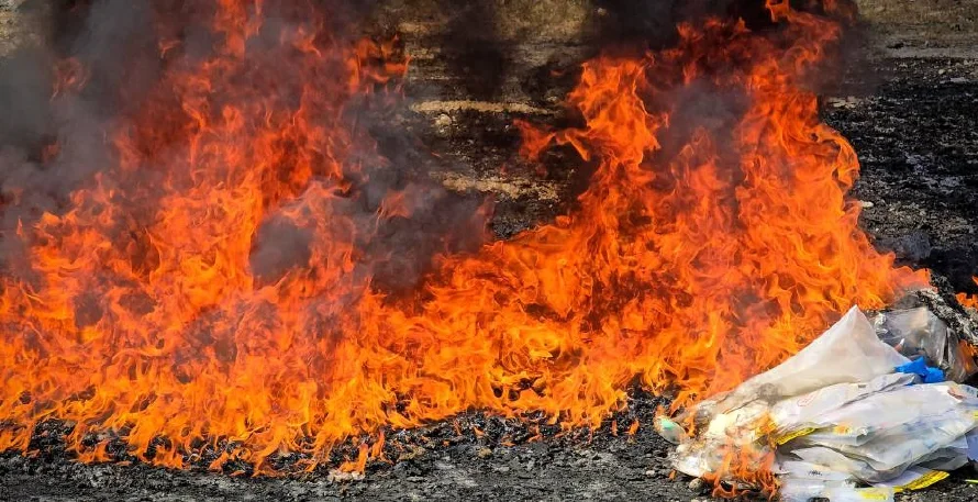 Autoridades destruyen más de $97,000 en marihuana y cocaína