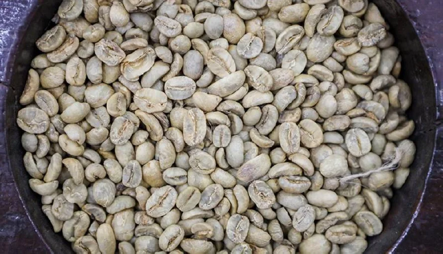 El café ha retrocedido 13.4 % dos semanas después de precio récord