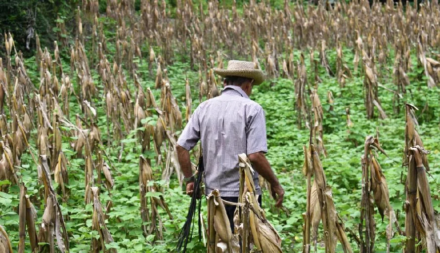 Los salvadoreños afectados por el cambio climático ascendieron a 97,000 por año