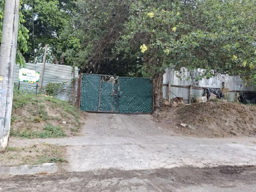 Concejales desconocen fondeo de refugio de animales: presupuesto se aprobó sin rubros