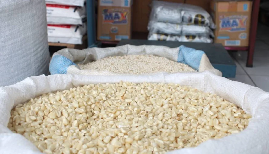 Productores advierten que en julio incrementarán las importaciones de granos básicos por baja cosecha