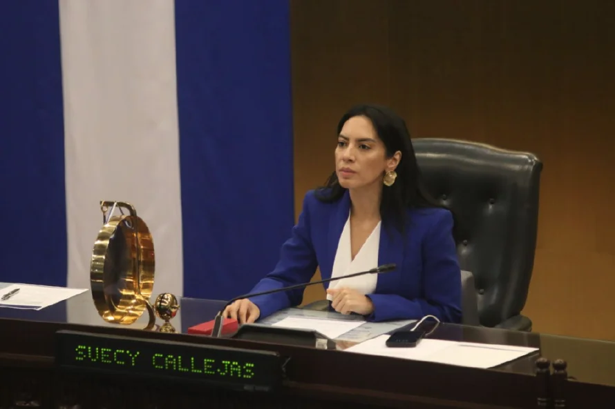 Suecy Callejas dice "ya están echando espuma" porque "no comprenden" peligro en Casa Dueñas