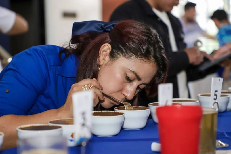Inicia el certamen que busca el mejor café de El Salvador