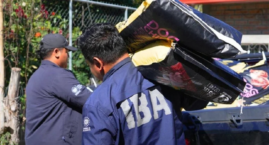 Gobierno destinó $33.7 millones al Instituto de Bienestar Animal (IBA) en cuatro años