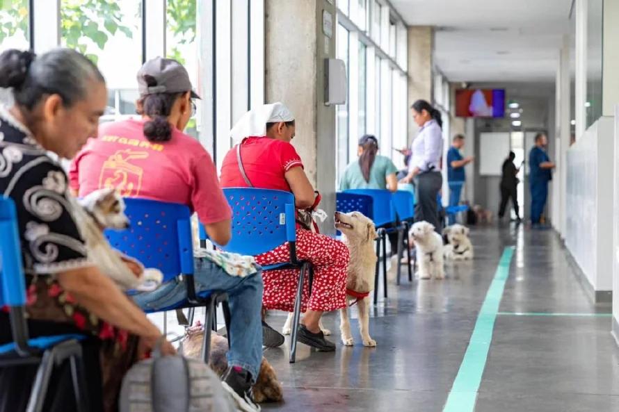 Cada atención en Chivo Pets seguirá costando $0.25, solo si paga con la Chivo Wallet