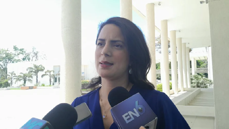 Claudia Ortiz: "¿Cuándo va a tomar la medicina amarga el gobierno y las AFP?"