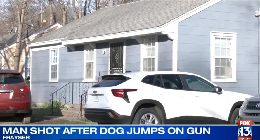 Perro dispara por accidente contra su dueño en EEUU