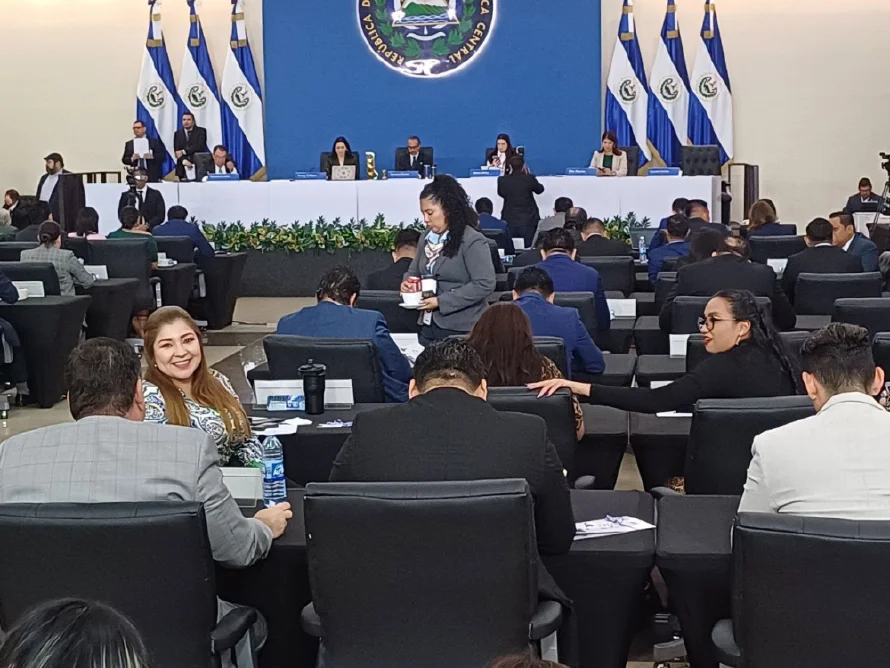 Asamblea ratificará préstamos por $173 millones para Surf City e infraestructura de datos