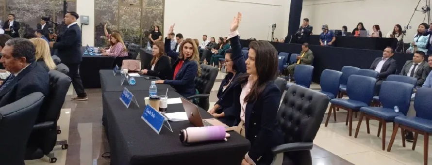 Marcela Villatoro pide prohibir que financistas de partidos participen en licitaciones públicas