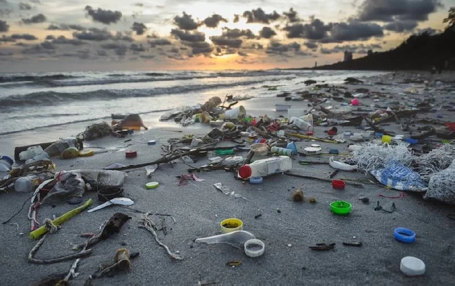 Más de 600 mil toneladas de residuos plásticos de Coca-Cola en océanos en 2030, según estudio