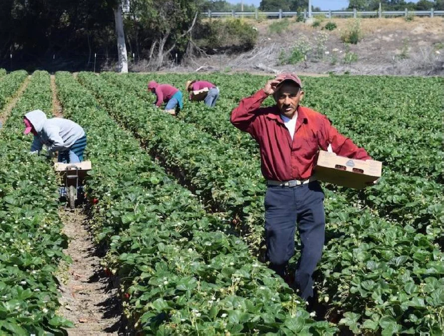 Empresarios y congresistas piden a Trump permisos para migrantes sin antecedentes