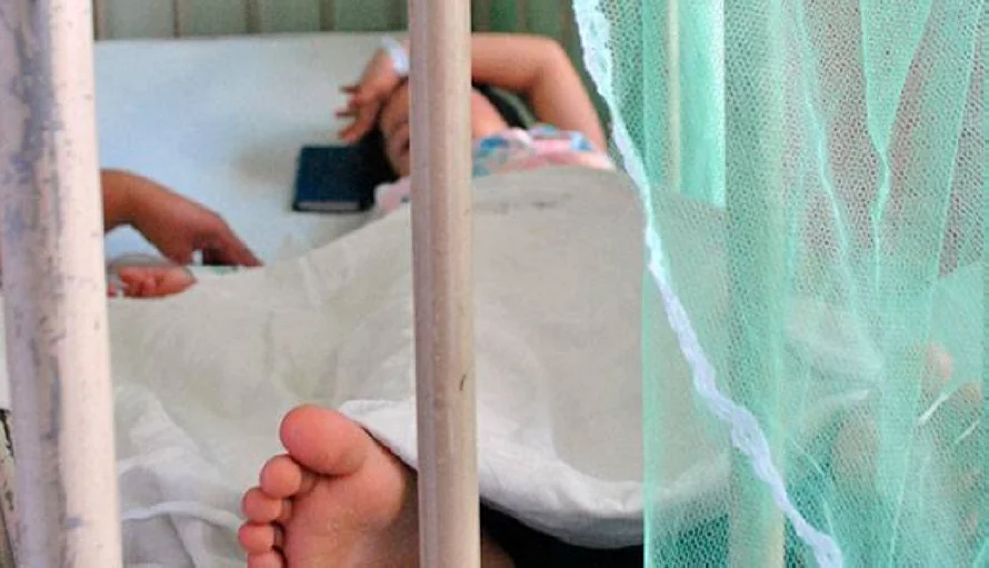 Presidente del Colegio Médico sobre el dengue: "Va a ser el principal dolor de cabeza en nuestro país para el 2025"