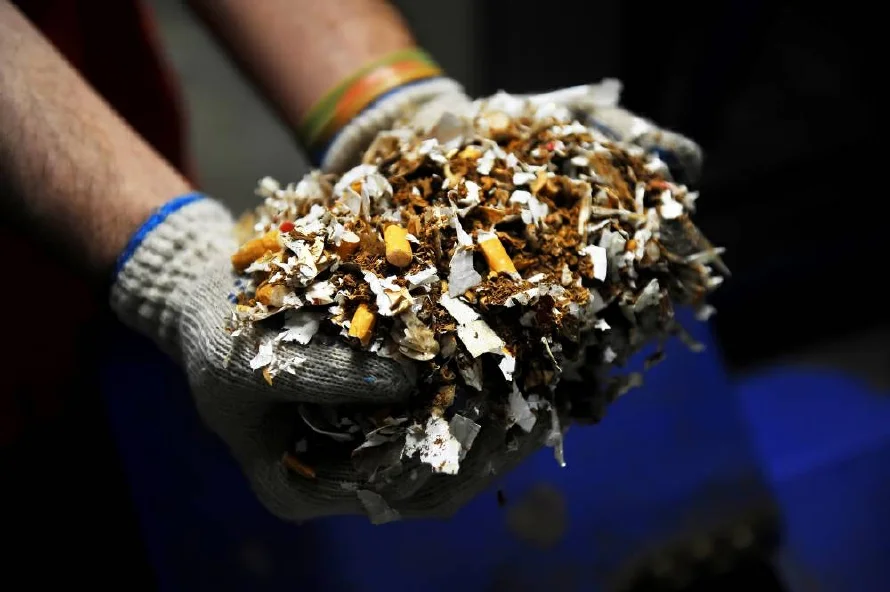 Estudio destaca reducción sensible del comercio ilícito de cigarrillos en El Salvador