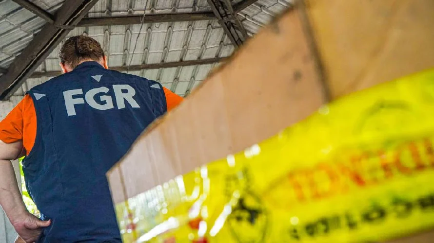 FGR destruye marihuana y cocaína valorada en más de $300,000