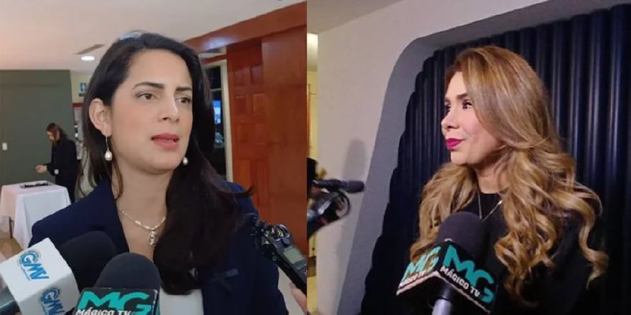 Diputadas insisten a directivos de la Asamblea que agenden sus iniciativas contra la minería metálica