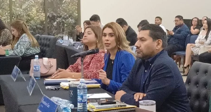 Arena rechaza que se prohíba la "abstención" en la Asamblea: "Los únicos donde no hay son China y Venezuela"