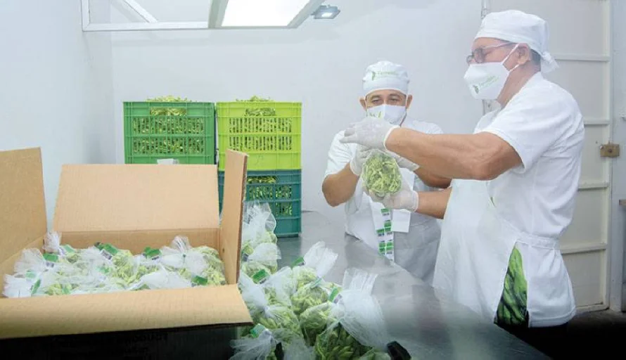 Coexport pide a los empresarios calma hasta que EEUU publique reglamento de arancel a las exportaciones salvadoreñas