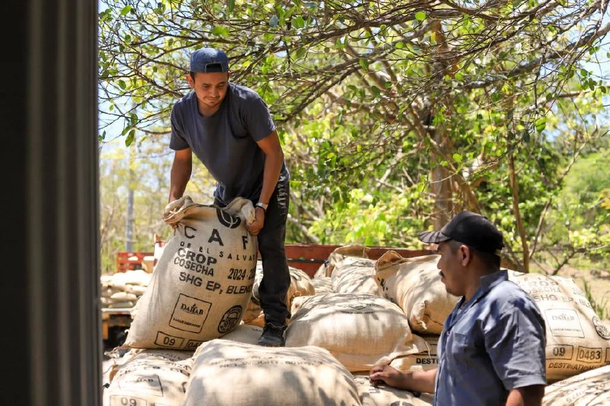 El Salvador realiza el primer envío de 1,000 quintales de café a Marruecos
