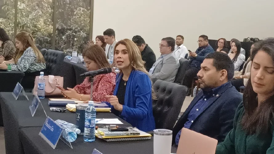 Marcela Villatoro: “En lugar de hablar de cárceles, se hubiera hablado del estatus migratorio permanente para los salvadoreños”