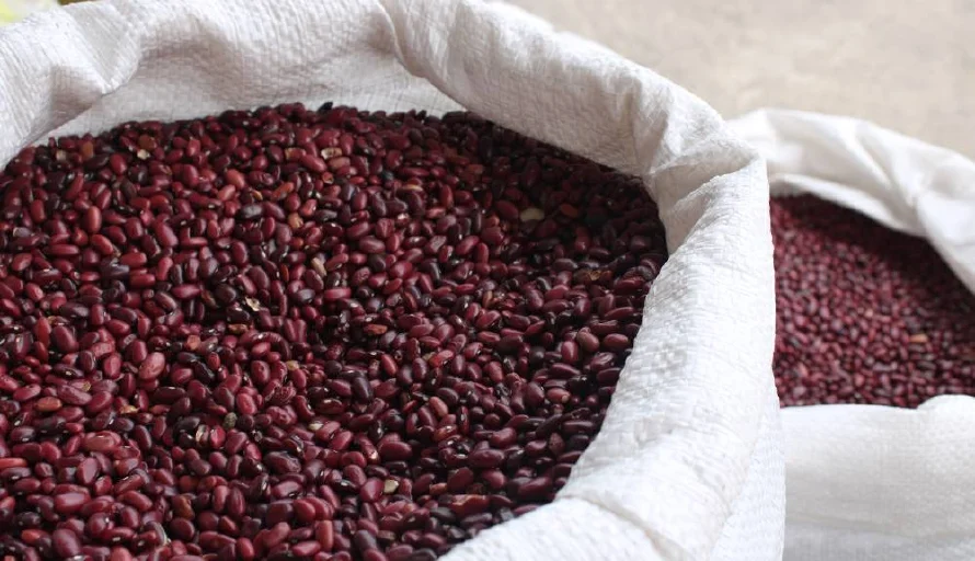Campo advierte que en junio El Salvador se quedará sin producción nacional