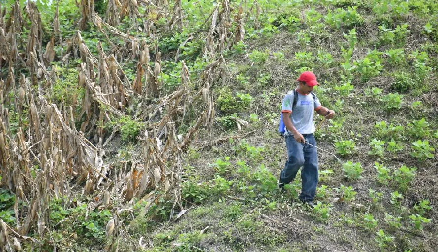 El sector agropecuario pasó de representar 40 % del PIB a 5 % en los últimos 50 años