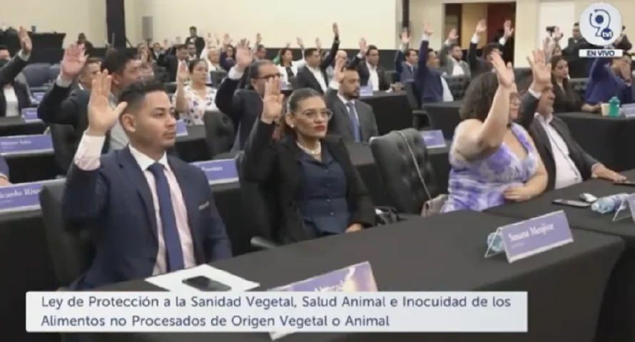 Asamblea aprueba Ley de protección a la sanidad vegetal, salud animal