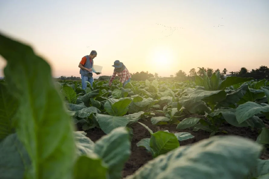 MAG controlará productos biotecnológicos de origen vegetal o animal en El Salvador