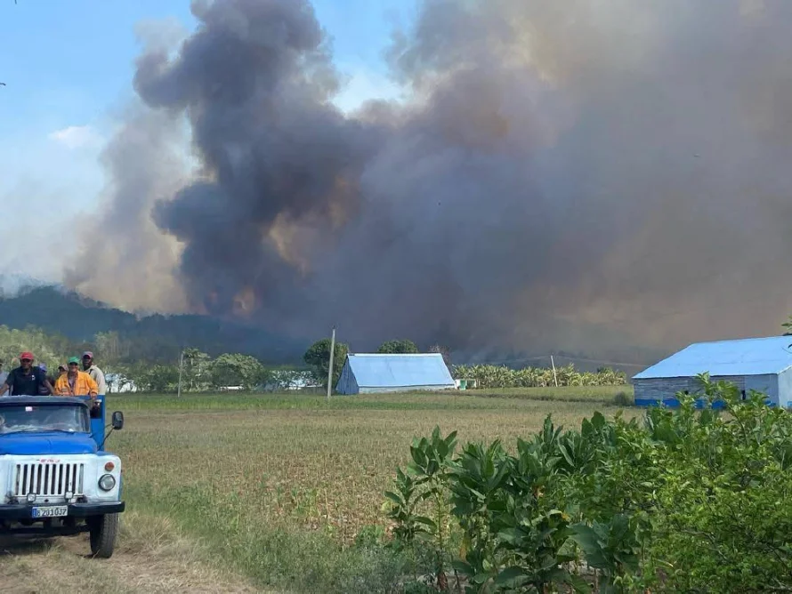 Un incendio forestal de gran proporción arrasa más de 1,900 hectáreas de bosques en Cuba