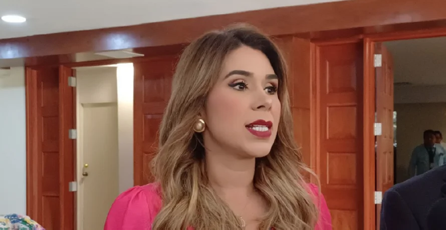 Marcela Villatoro: "De nada sirve acudir a la Sala de lo Constitucional, si es un apéndice de Nuevas Ideas"