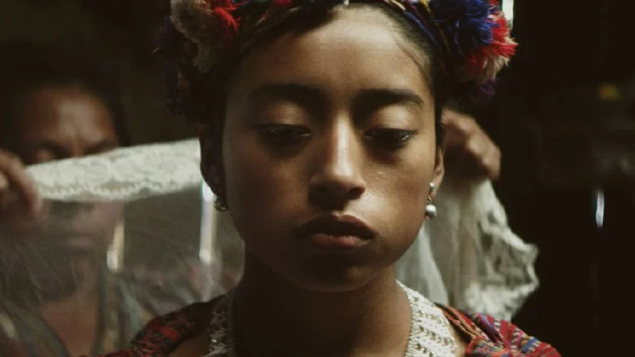 Invitan a ciclo de cine "Desde la raíz" en Centro Cultural de España en El Salvador