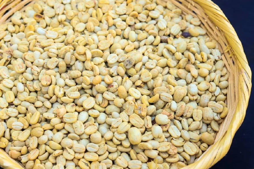 El café se cotiza un 90 % arriba que hace un año por maltrecha producción en Brasil