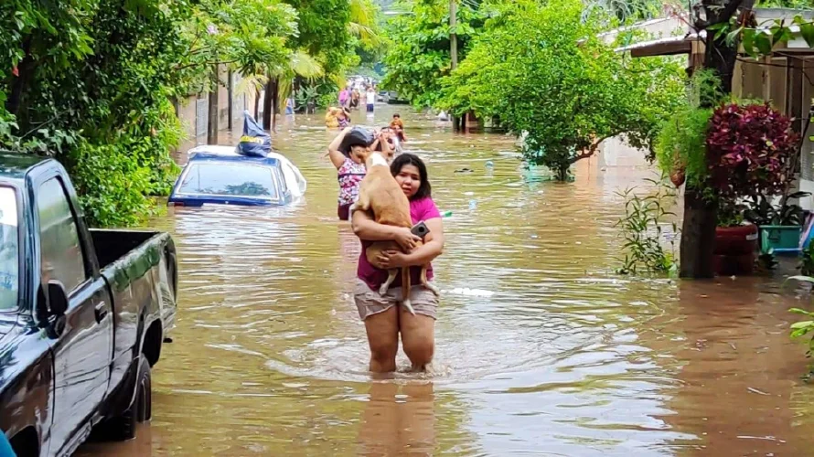 El 80% de El Salvador es vulnerable a desastres y el país no está preparado a enfrentarlos, dice Mesa de Riesgos