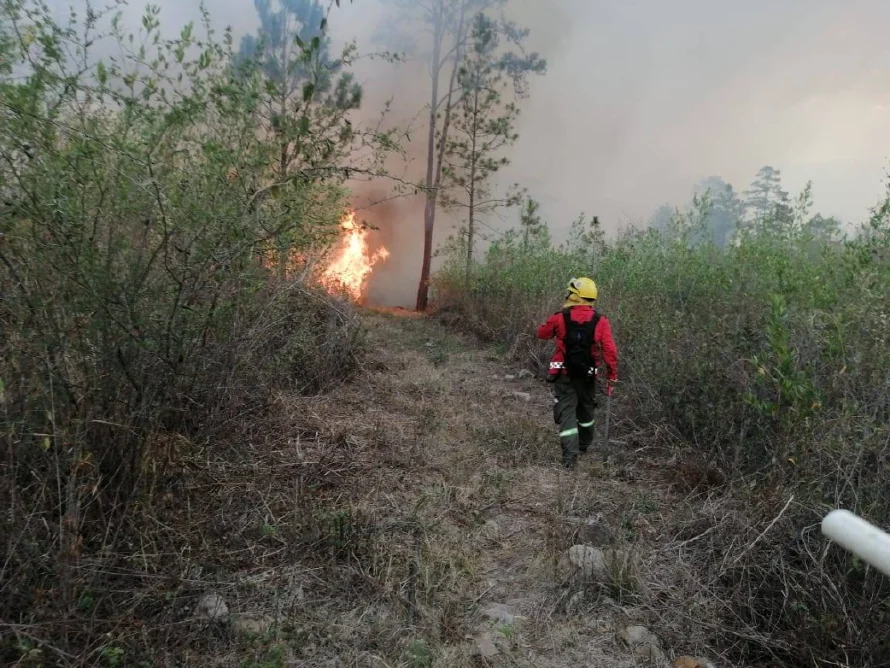 Los incendios forestales en Honduras dañan más de 28,000 hectáreas en lo que va de 2025